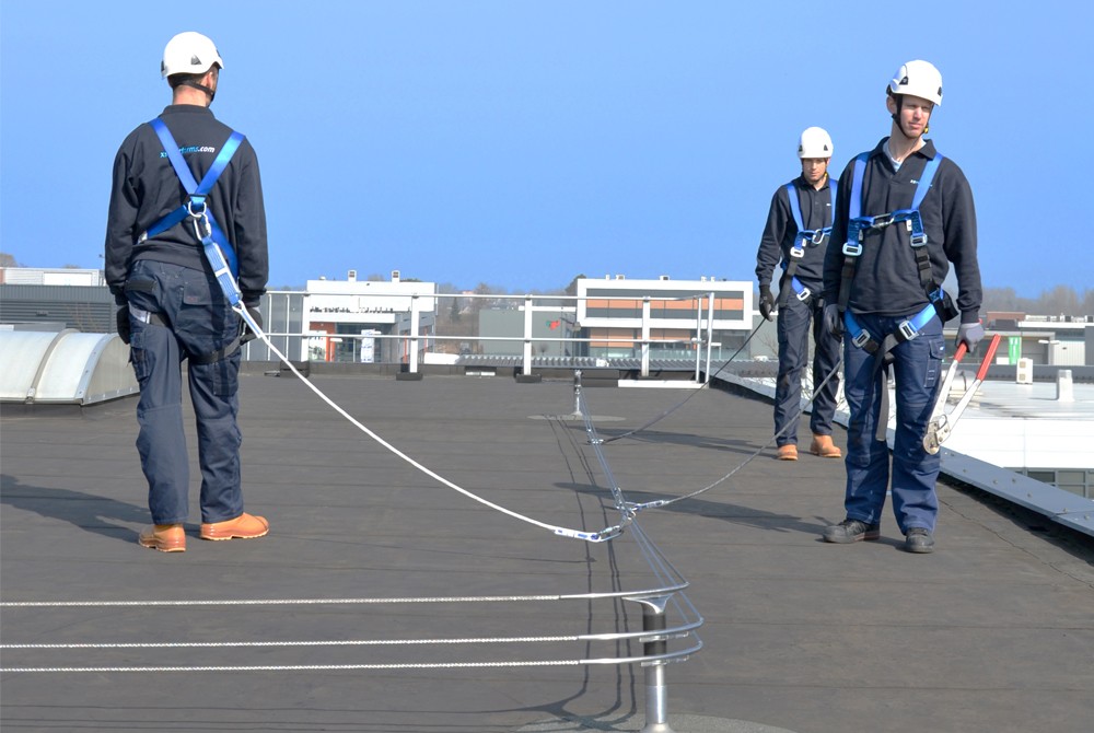 Γραμμές Ζωής (Lifelines)