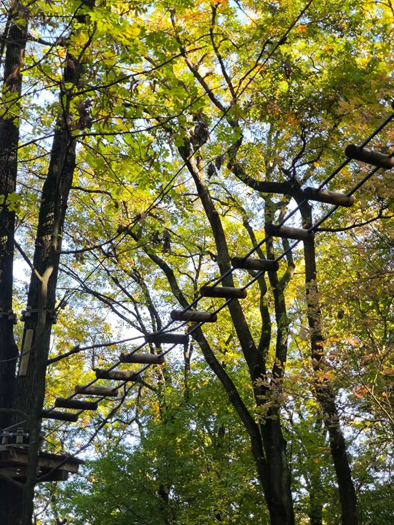 Adventure Park COUDOU PRO