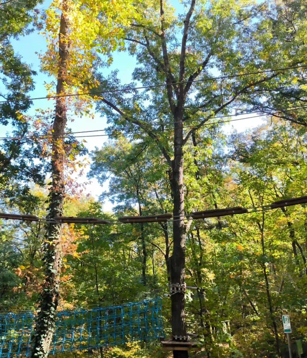 Adventure Park με Σύστημα COUDOU PRO