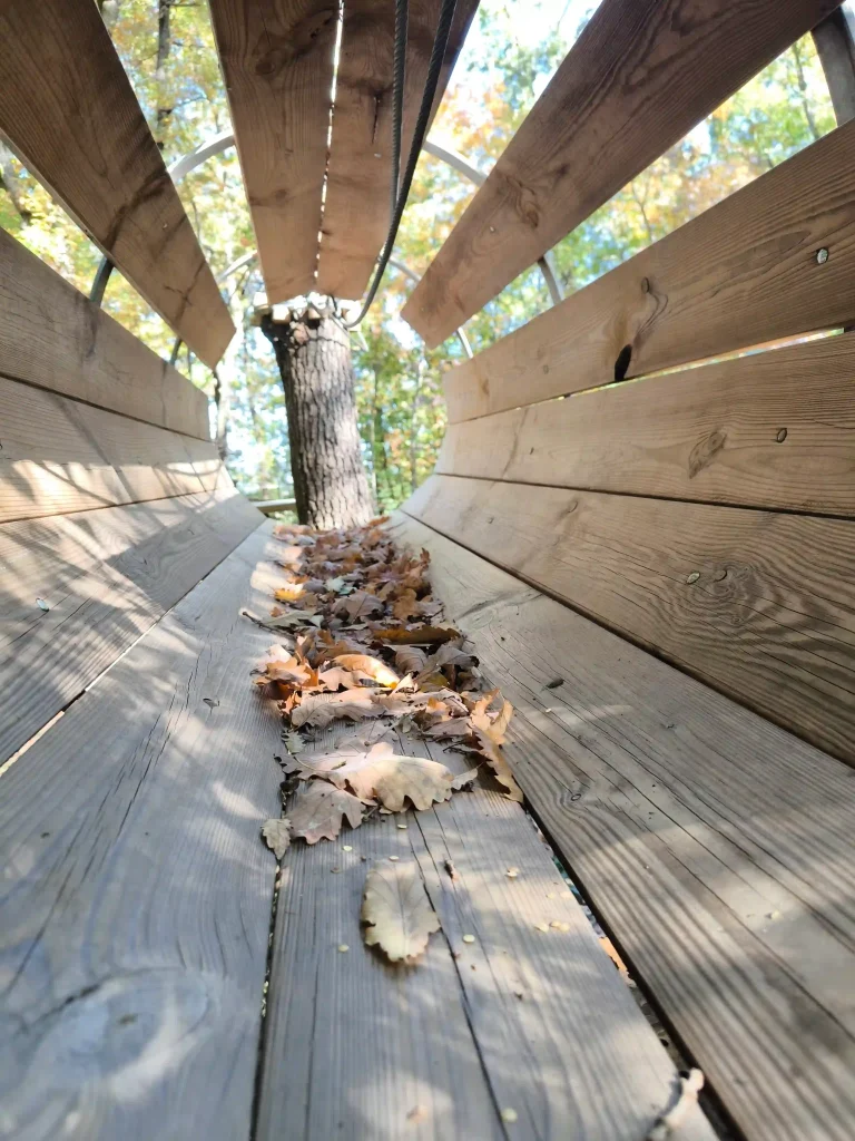 Κατασκευή Ολοκληρωμένου Adventure Park στην Ιταλία με Σύστημα COUDOU PRO