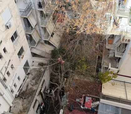 Κοπή Ψηλού Δέντρου στο Κέντρο της Αθήνας