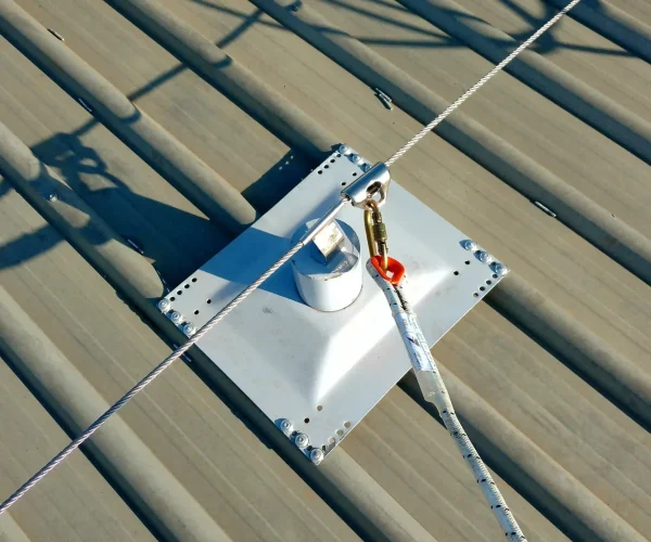 Γραμμές Ζωής, ή Lifeline systems